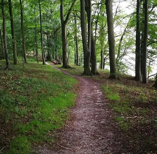Kastanievejens 3* Svendborg